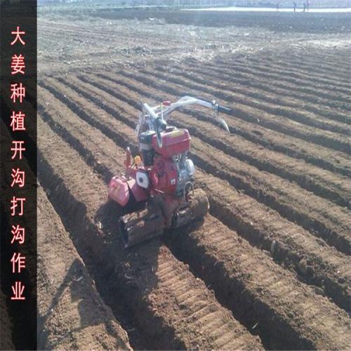 大蔥開(kāi)溝培土機(jī)哪家好最先進(jìn)的大蔥培土機(jī)鏈條式大蔥培土機(jī)